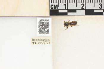 Media type: image;   Entomology 769575 Aspect: Labels